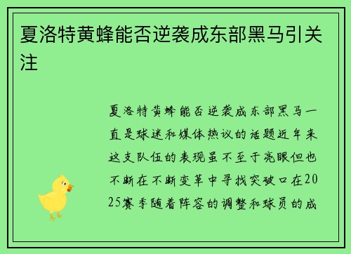 夏洛特黄蜂能否逆袭成东部黑马引关注